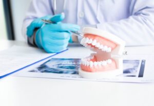 Dentist explain with teeth set in dental care