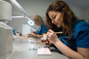 lab technician working on dentures